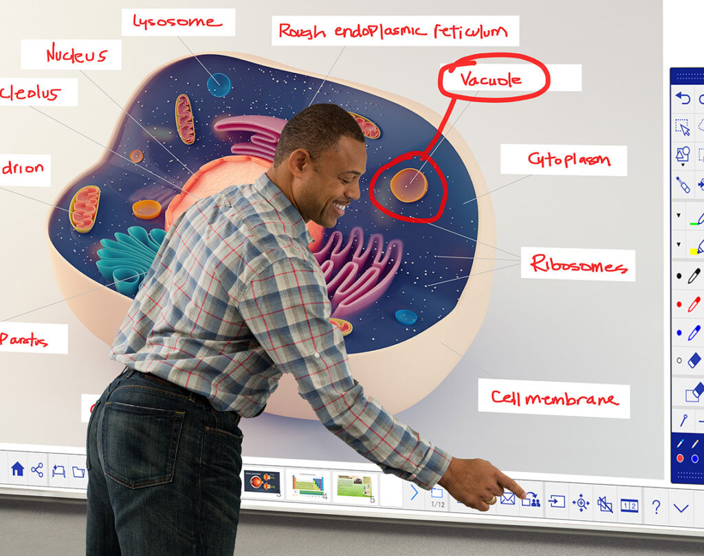 K12-Education-Projectors_fg_display-solution_tile02-1140x900